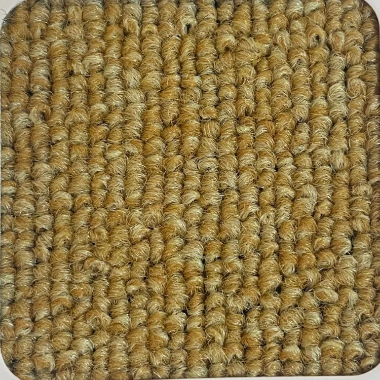 Nylon Plain-colored Rug