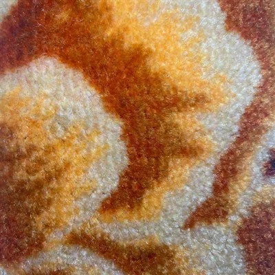 Gold-colored Printed Carpet