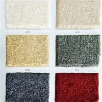 Organic Solid-color Wall-to-Wall Carpet